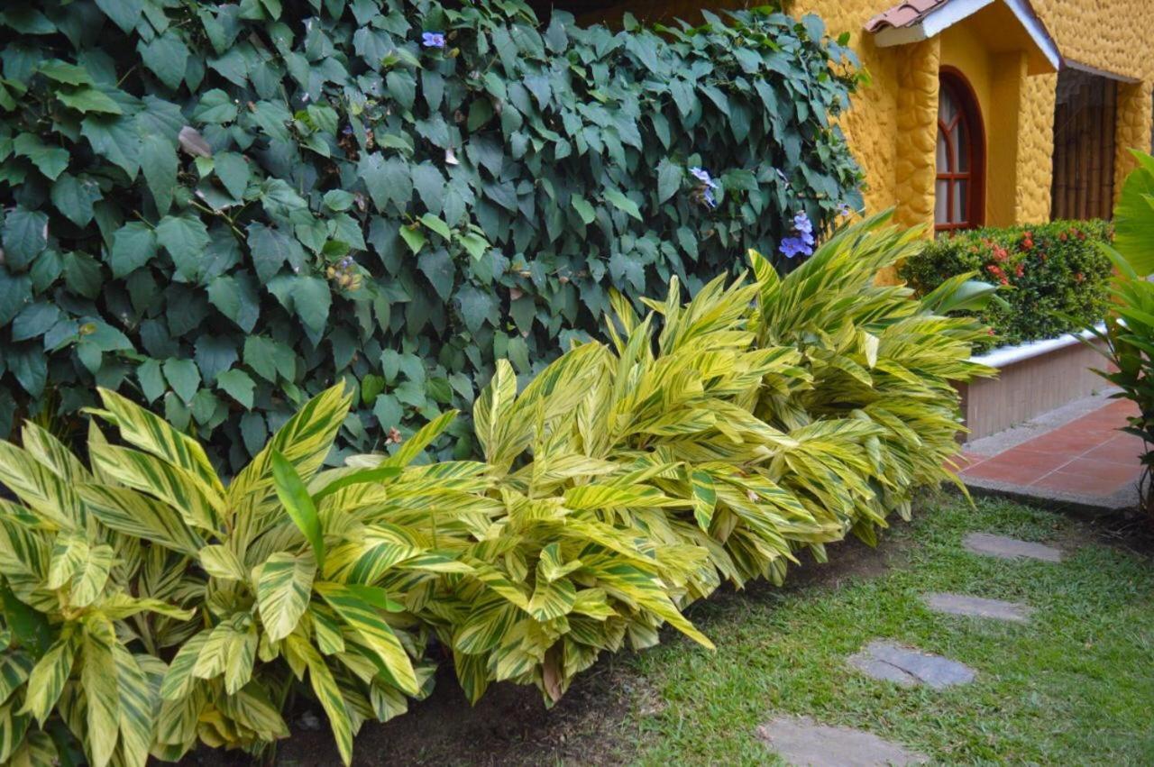 Eco Hostal Kuima El Zaino Exteriér fotografie